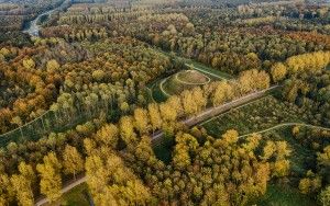 Autumn trees and Almere-Boven