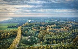 Autumn colours from my drone