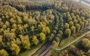 Autumn colours from my drone