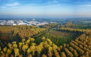 Drone parnorama of autumn colours