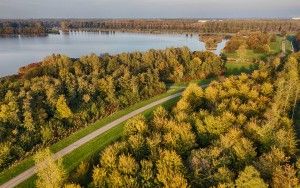 Autumn colours from the sky