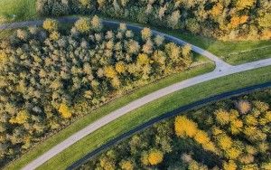 Top-down drone picture of autumn trees