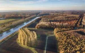 De Groene Kathedraal from my drone