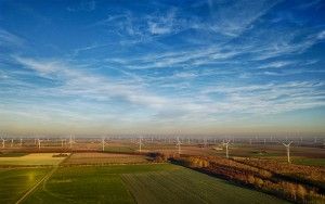 Windmills as far as the eye can see