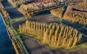 De Groene Kathedraal from my drone