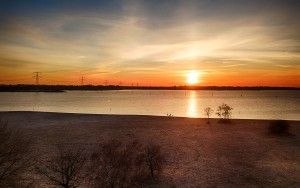 Walking dog during sunset