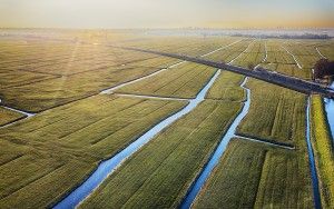 Flat fields around Weesp during sunset