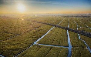 Flat fields around Weesp during sunset