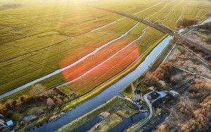 Drone sunset over the fields near Weesp