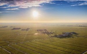 Fields near Bunschoten-Spakenburg