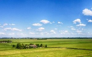 Drone picture of fields with cows