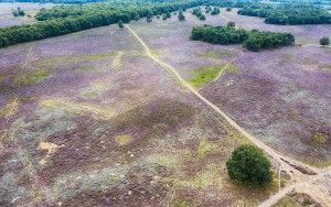 Bussumerheide from my drone