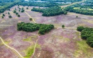 Bussumerheide from my drone