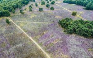 Bussumerheide from my drone