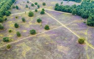 Bussumerheide from my drone