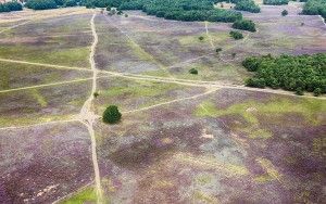 Bussumerheide from my drone