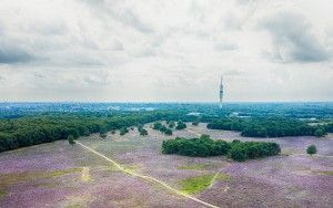 Bussumerheide from my drone