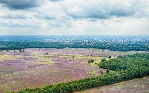 Bussumerheide from my drone