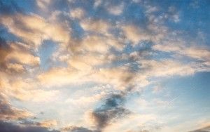 Stedenwijk in Almere by drone during sunset