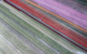 Drone picture of a tulip field near Almere-Haven