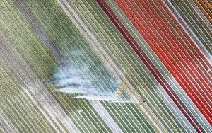 Drone picture of a tulip field near Almere-Haven