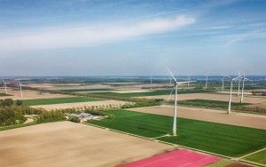 Tulip field from my drone near Zeewolde