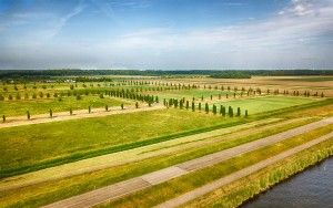 Field next to lake Gooimeer