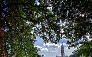 Abbey of Tongerlo