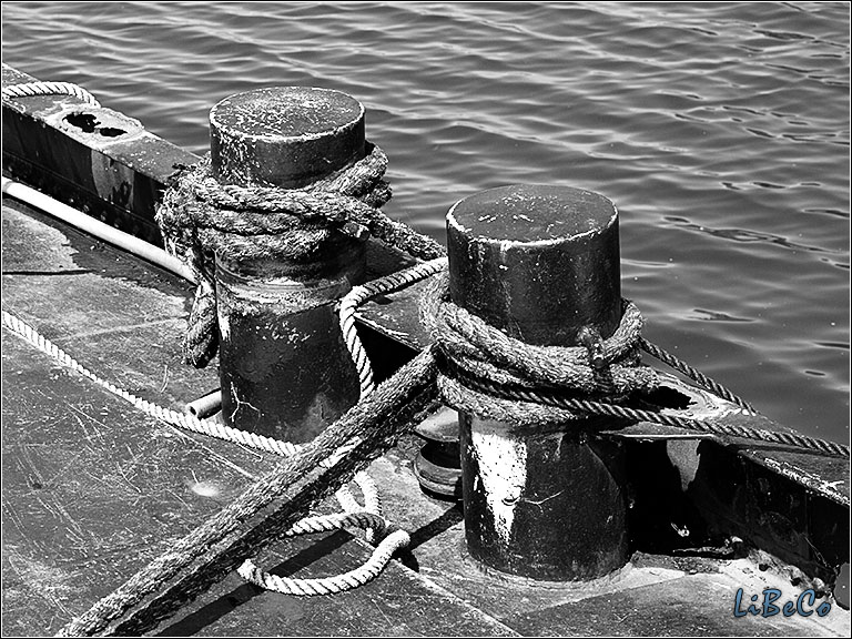 Ropes in black & white