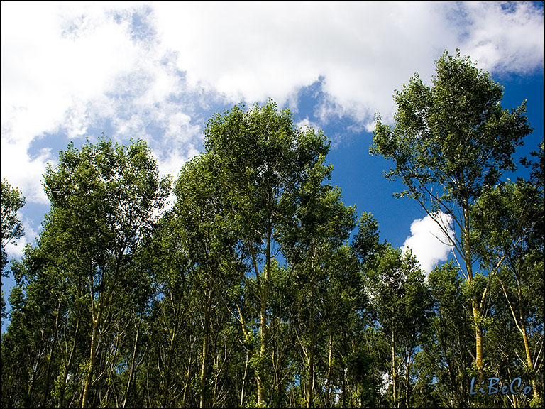 Blue sky and clouds