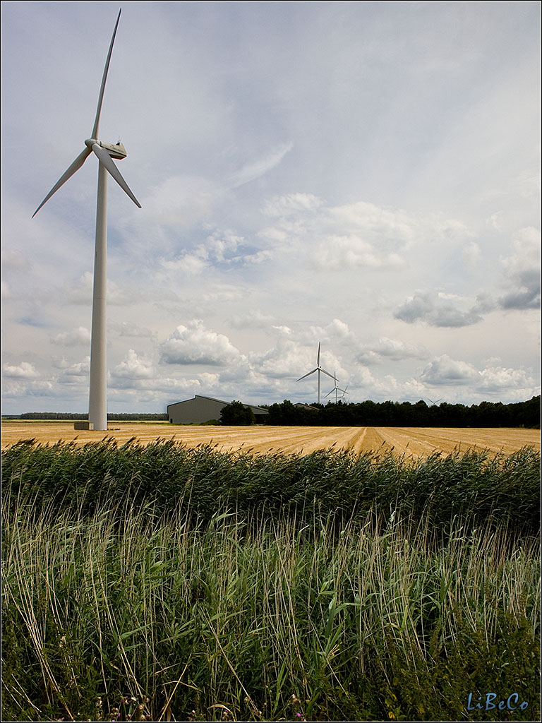 Windmill