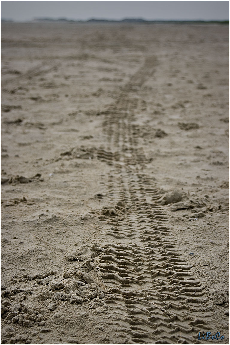 Tracks on the beach