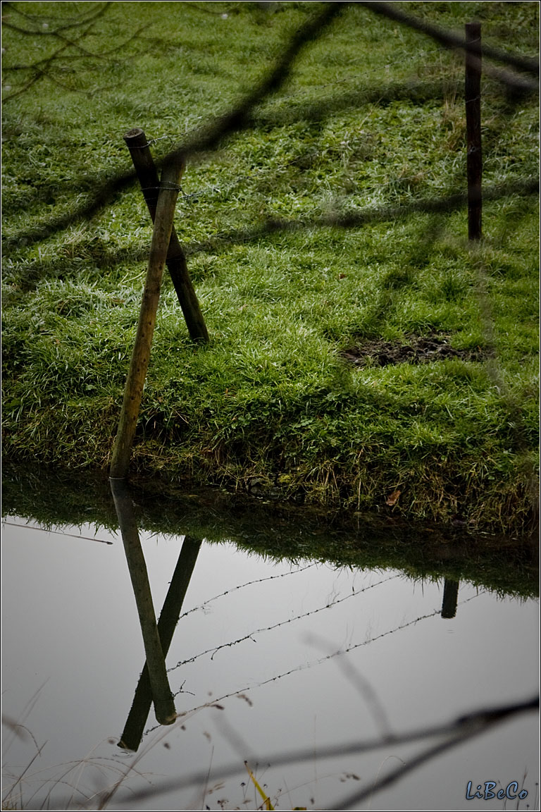 Barbed wire reflection