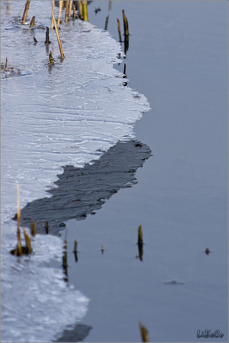 Remains of the cold