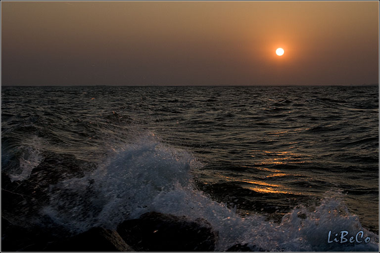 Sunset at Oostvaardersdijk