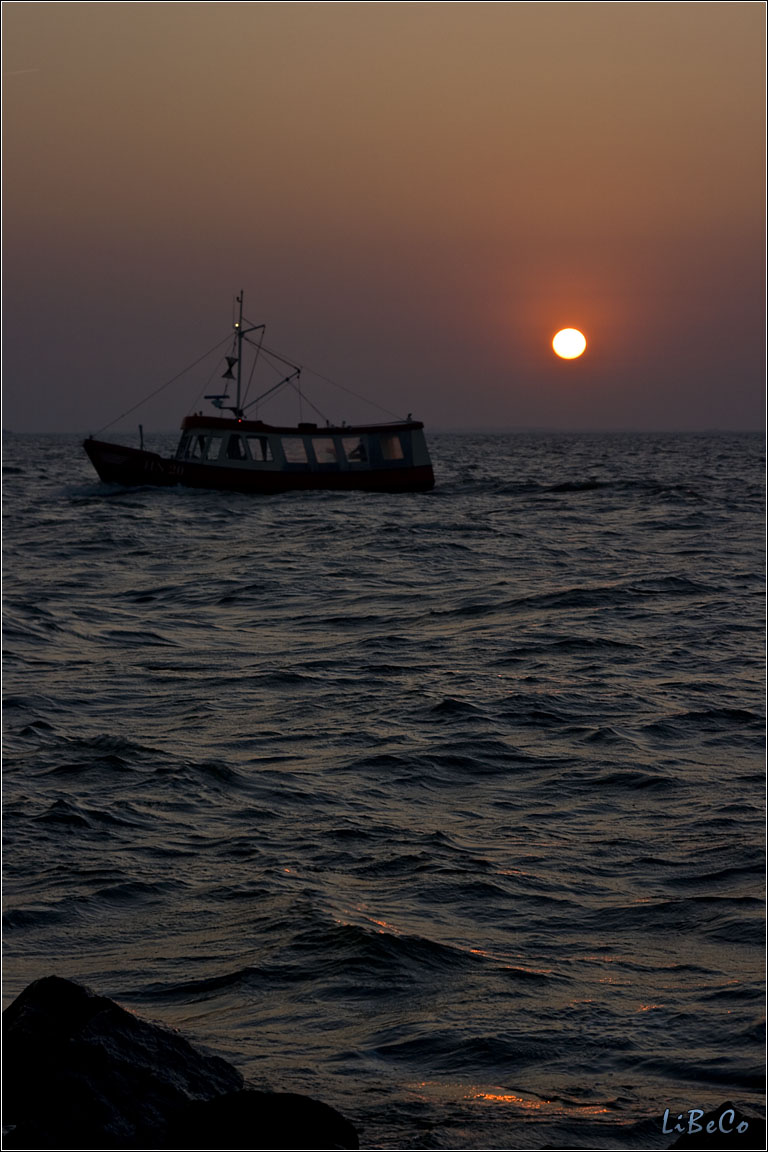 Sunset at Oostvaardersdijk