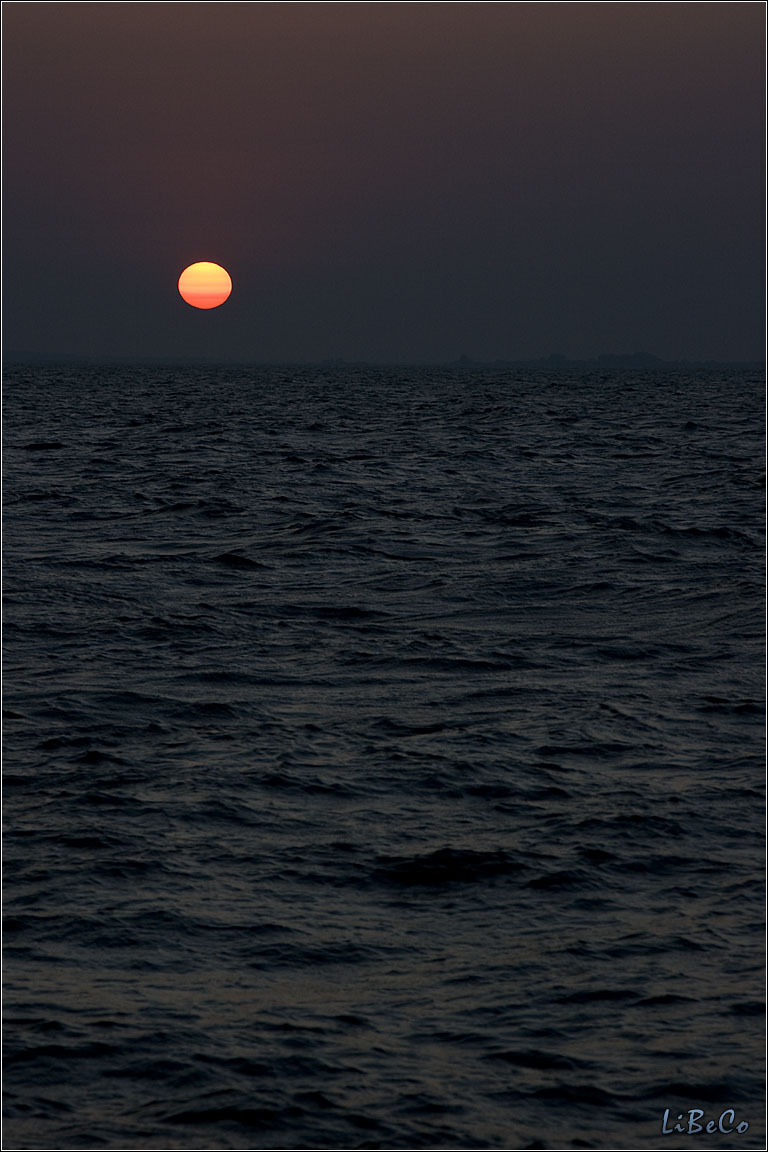 Sunset at Oostvaardersdijk