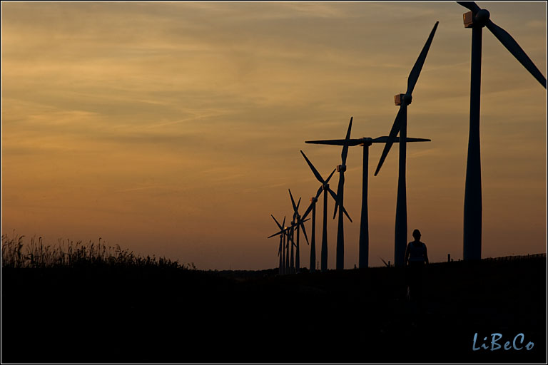 Sunset at Eemmeerdijk