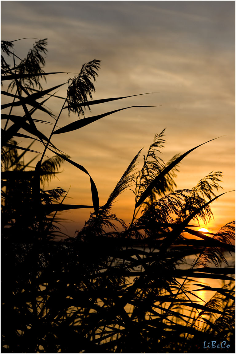 Sunset at Eemmeerdijk