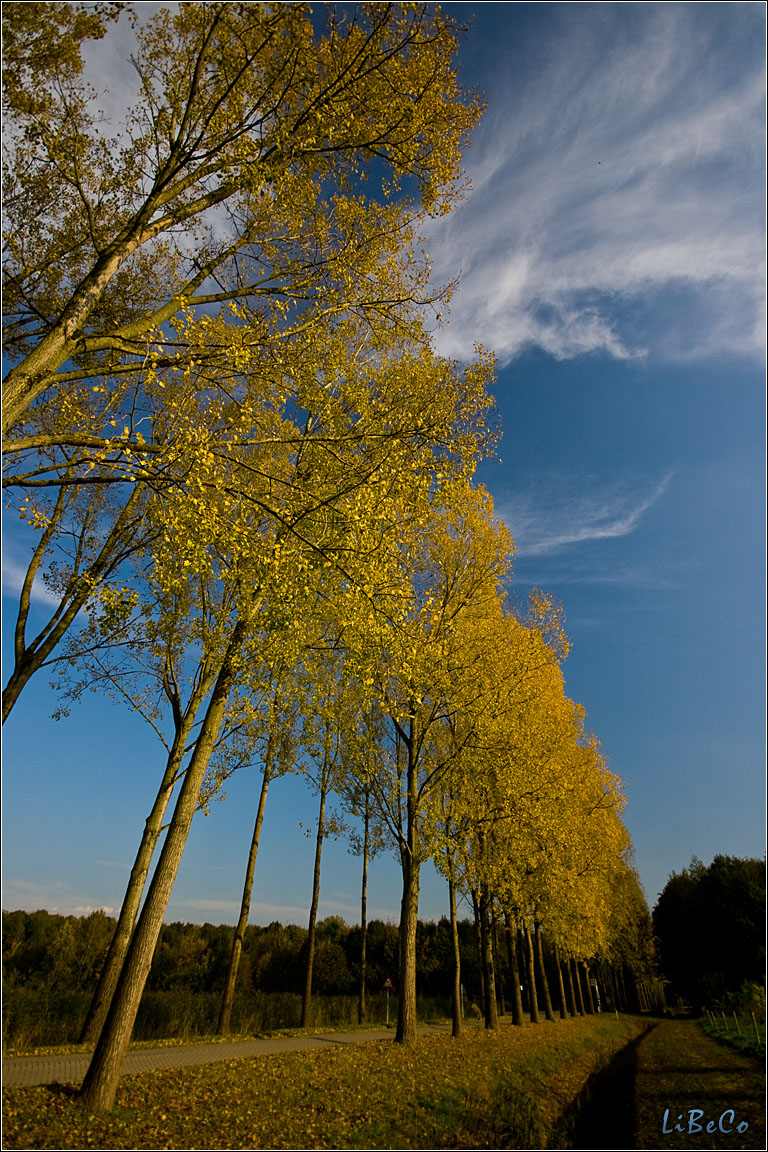 Autumn colours