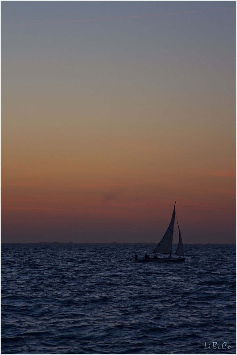 Sunset at Oostvaardersdijk