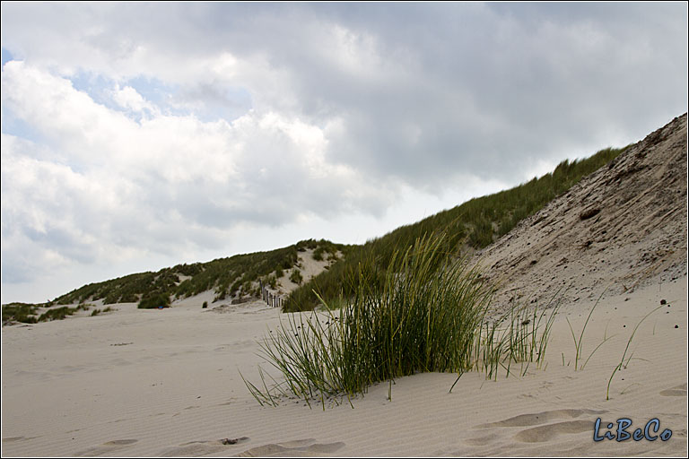 Dunes