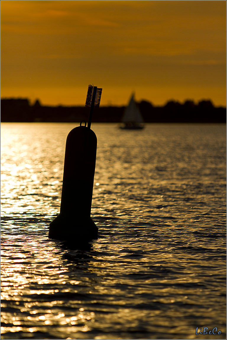 Sailing on Gooimeer