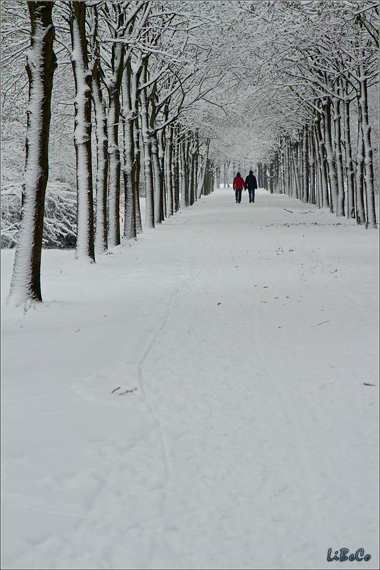 Snowy road