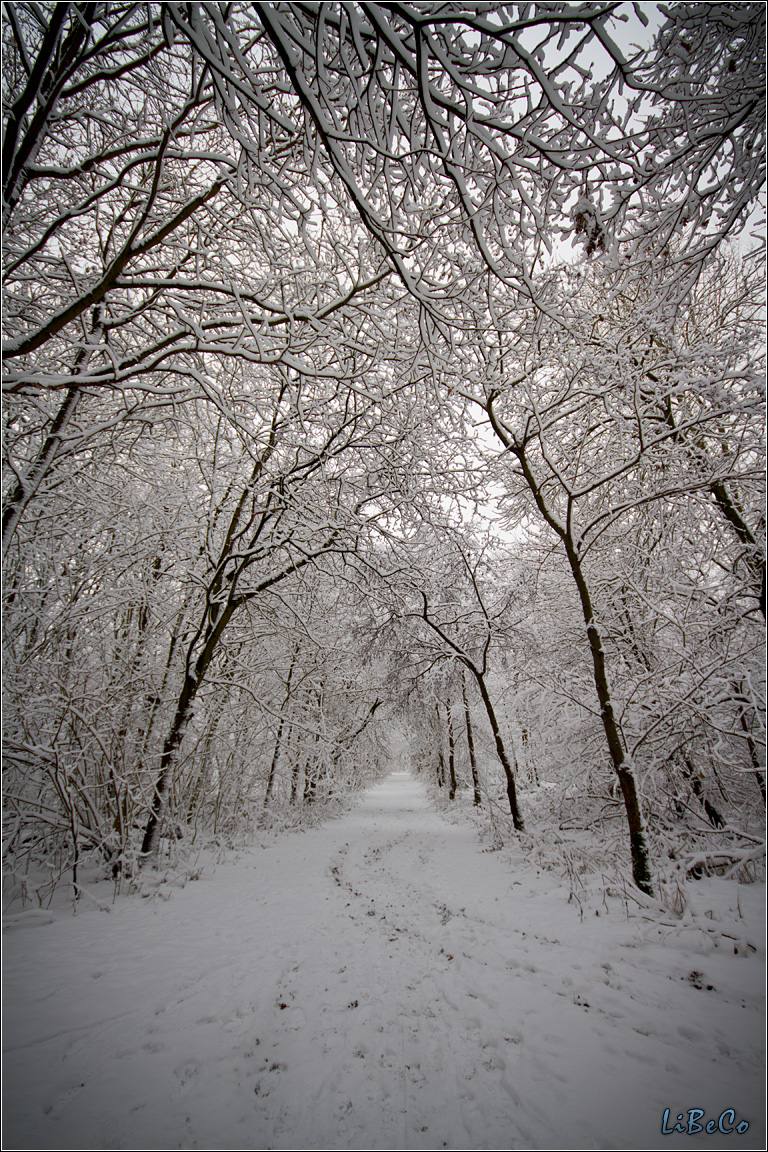 Covered in snow