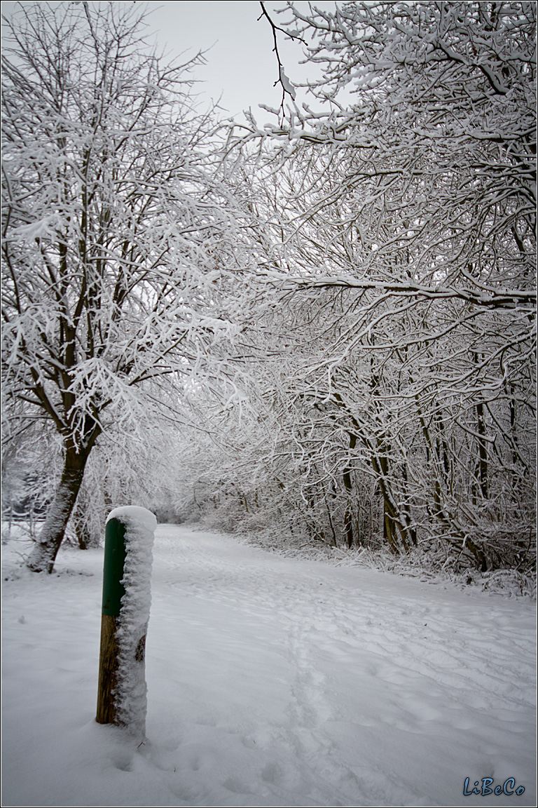 Snowy road