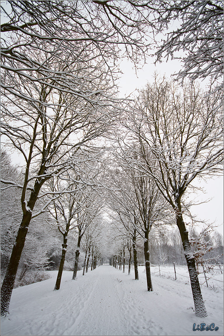 Wide angle snowy road