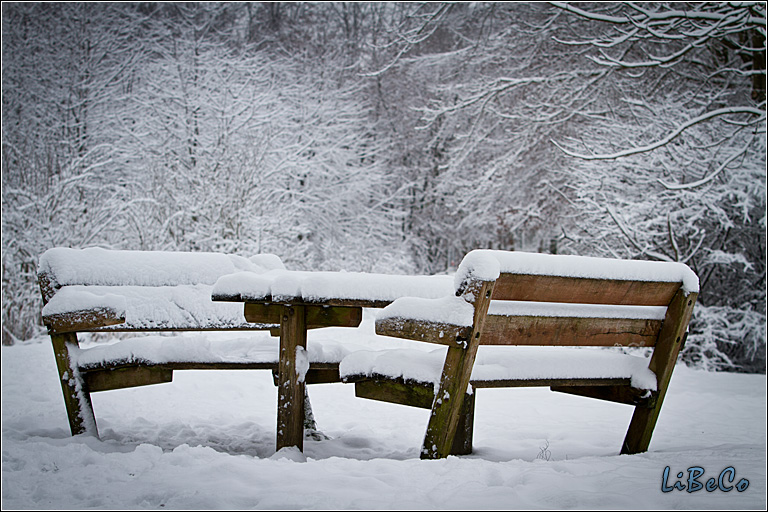 Snowy bench