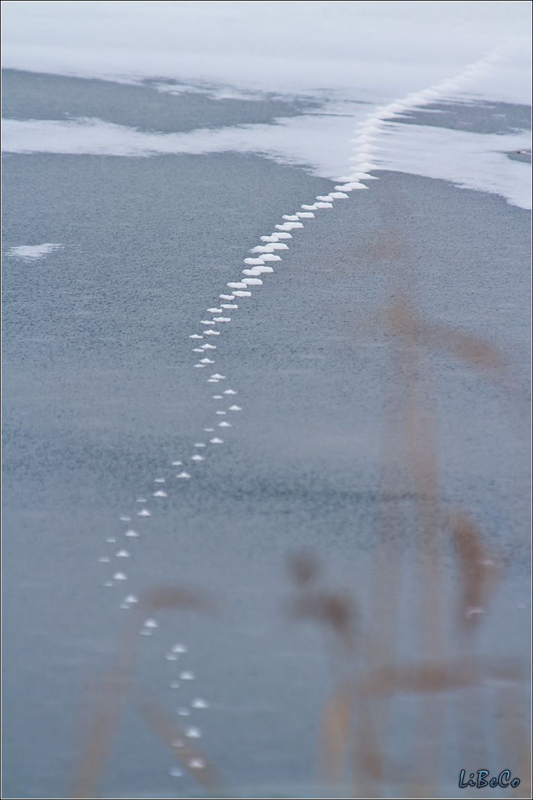Trail on ice