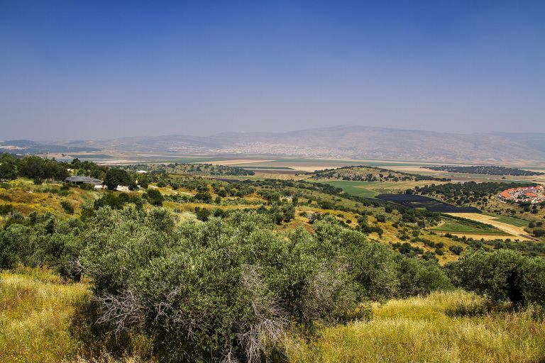 Mountains near Zippori